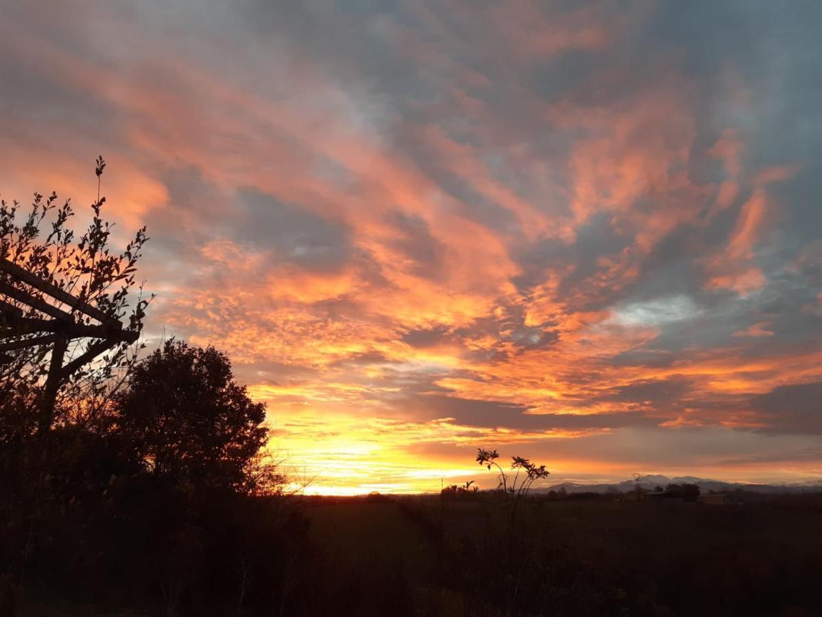 Bnb Ferme Beauregard Les Pyrenees Artigat Exterior photo